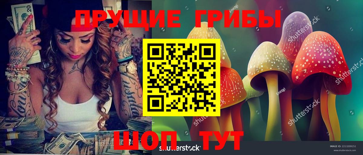 Галлюциногенные грибы ЛСД Котовск