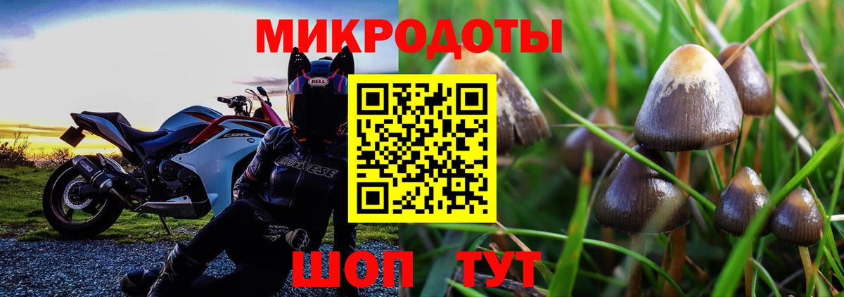 Псилоцибиновые грибы мицелий  Вход с VPN  Котовск 